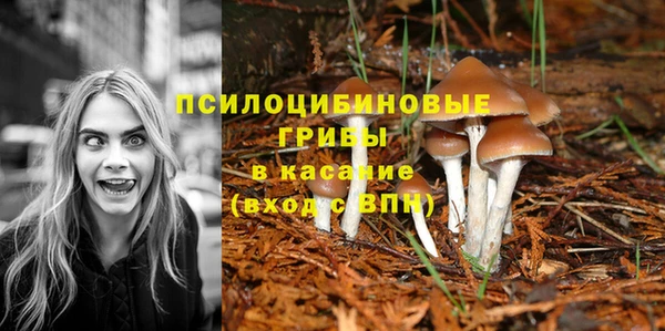 ECSTASY Баксан