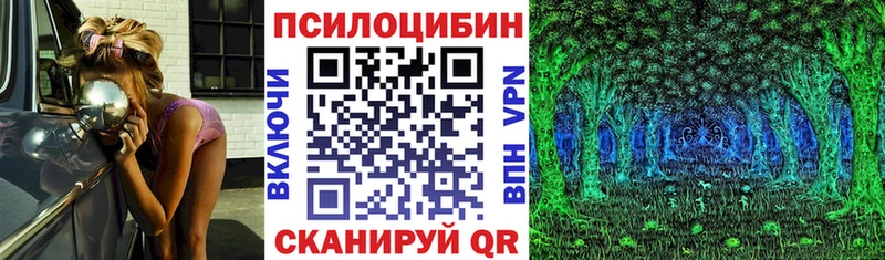 Галлюциногенные грибы Psilocybine cubensis  купить наркотики цена  Унеча 