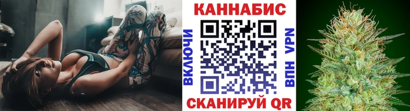 наркота omg ссылка Шишки марихуана марихуана маркетплейс официальный сайт Унеча